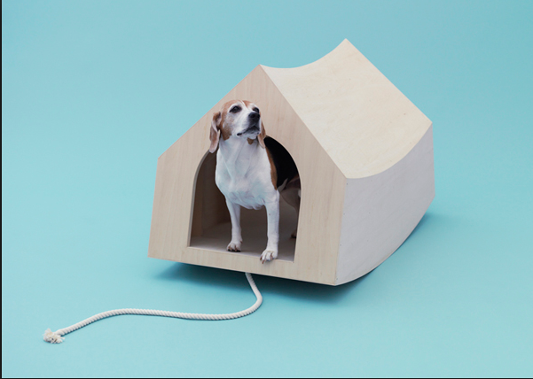 architecture for dogs